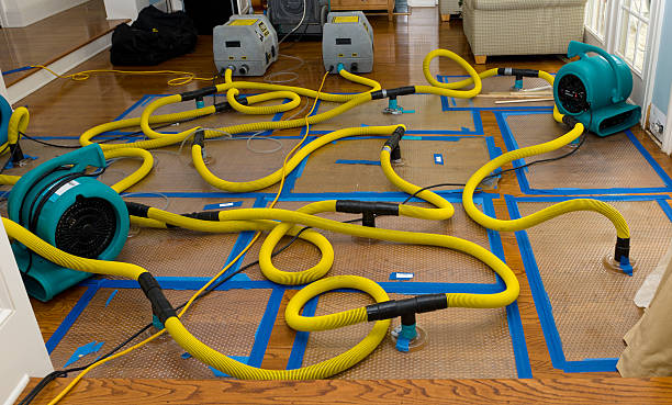 Professional Crawl Space Water Removal technician working in Briggsdale, CO